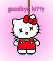 Goodbye Kitty!